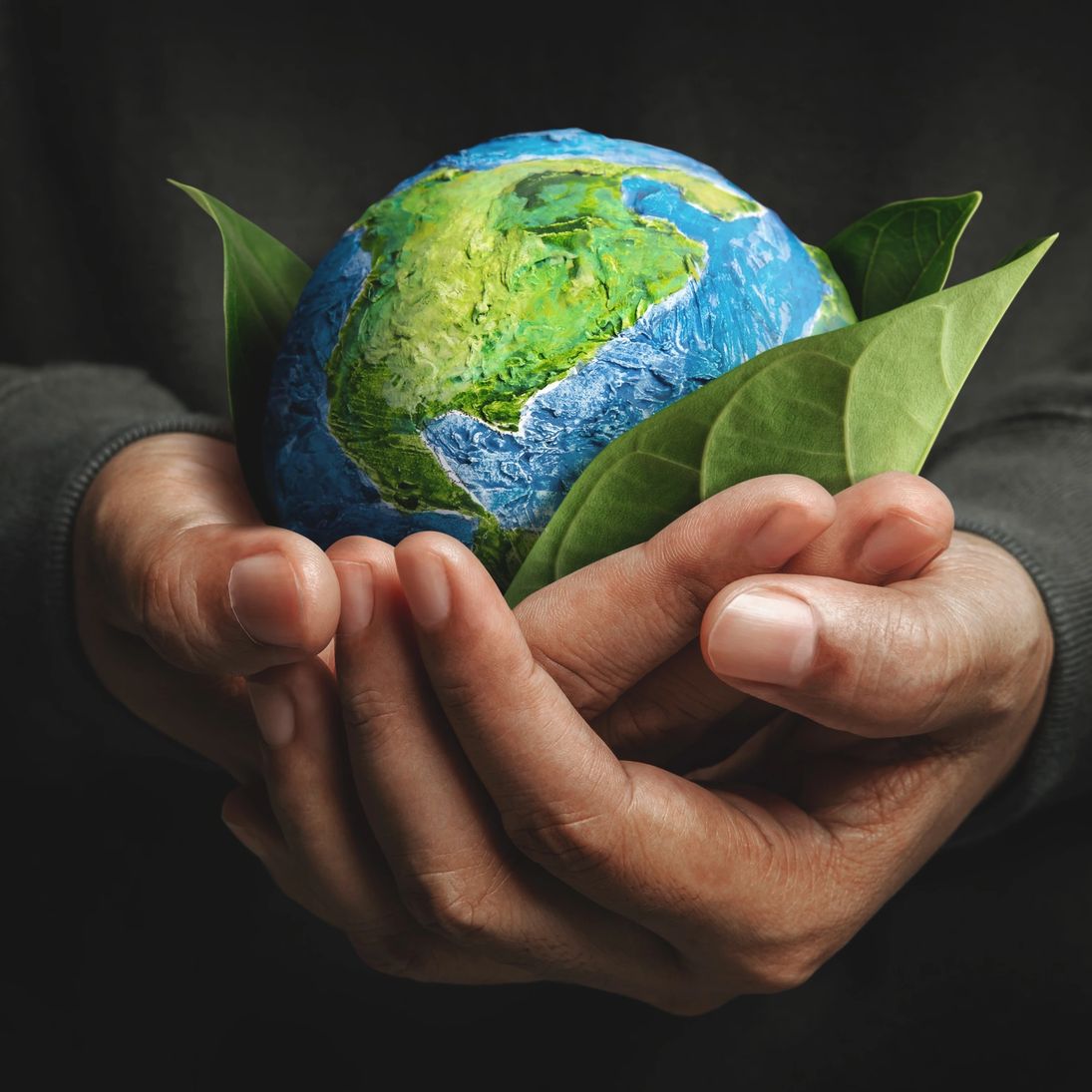 Hands cradling a green seedling, representing environmental care